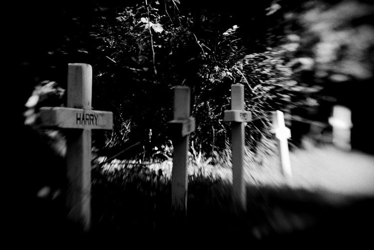 Slave Cemetery at the William Floyd Estate by Xiomaro