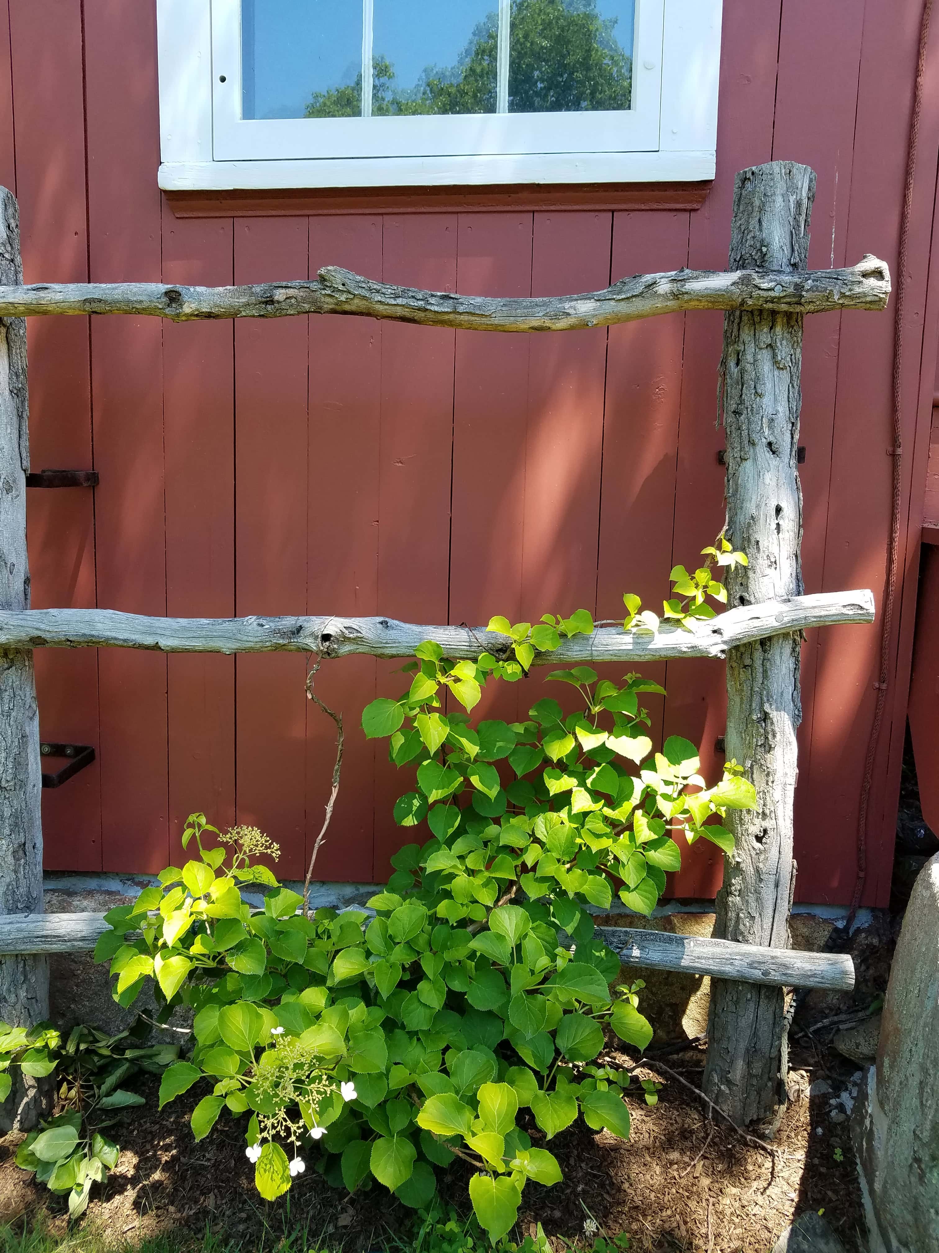 20180616_114357