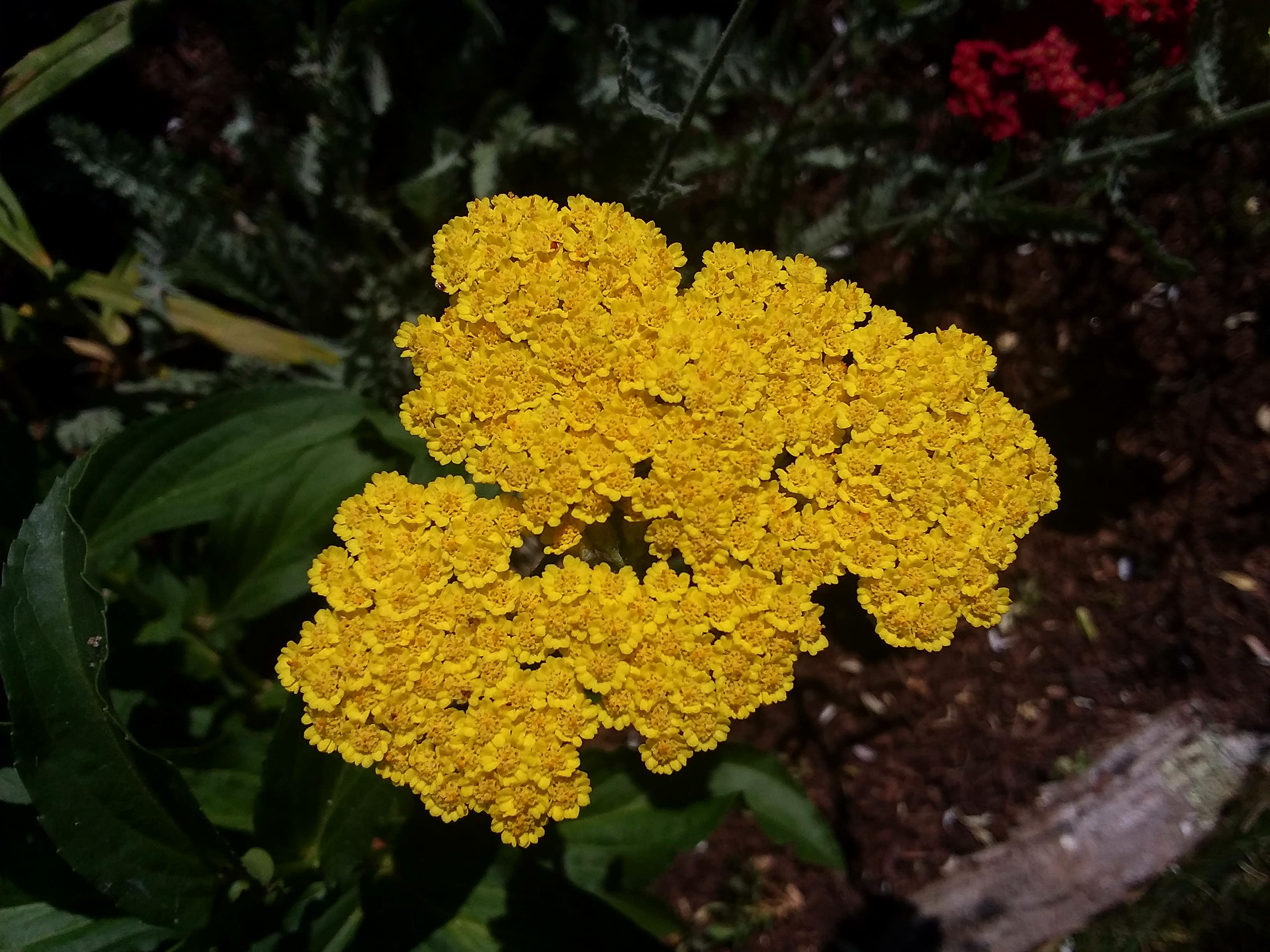20180616_114550