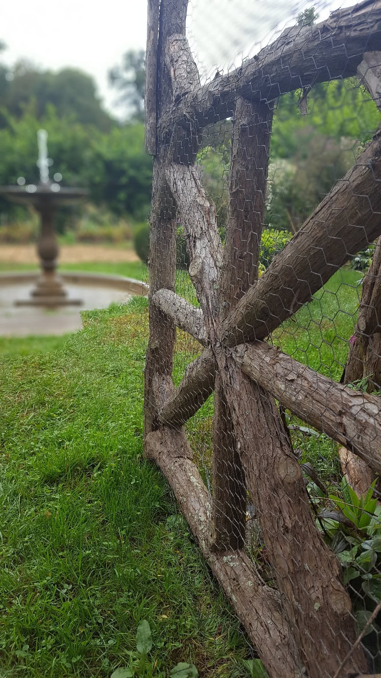 20181007_110134_resized