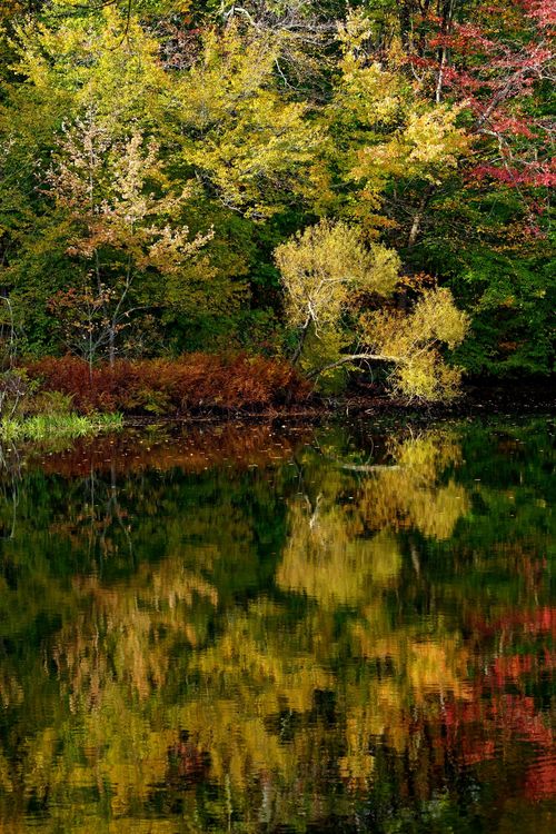 2_Xiomaro_Weir_Pond