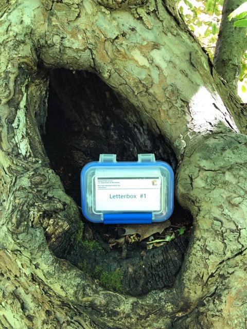 Hidden Clues at Weir Farm