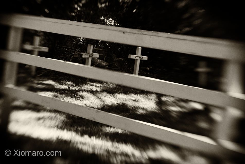prints_01_20_03.jpg
