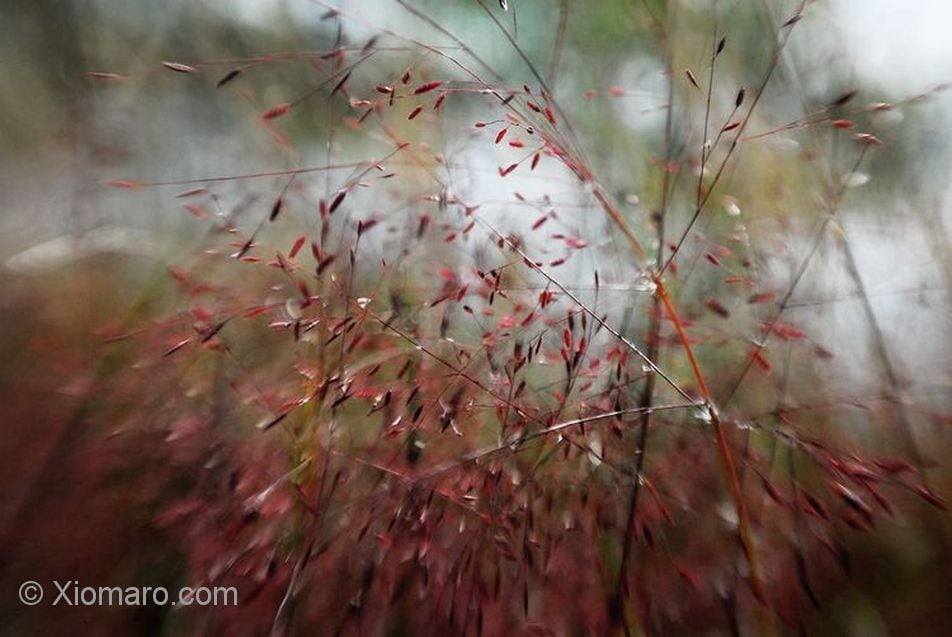prints_03_20_05